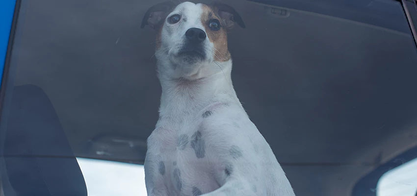 Car Lockout Solutions in San Luis Obispo, California